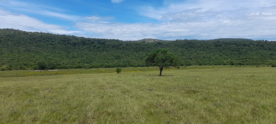 Commercial Property for Sale in Komga Rural Eastern Cape
